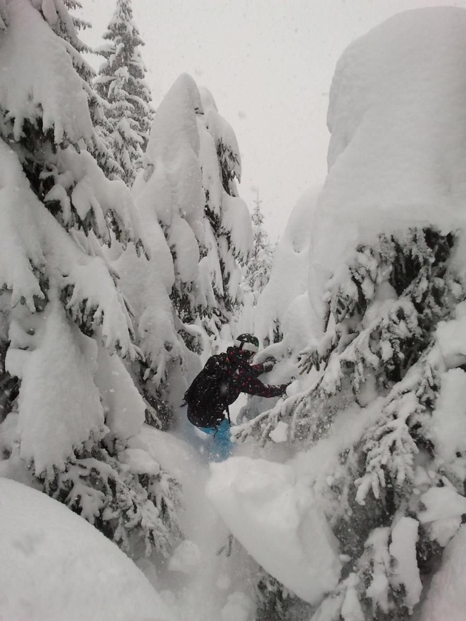 Alpenferienwohnung Strickner Neustift im Stubaital Exterior foto